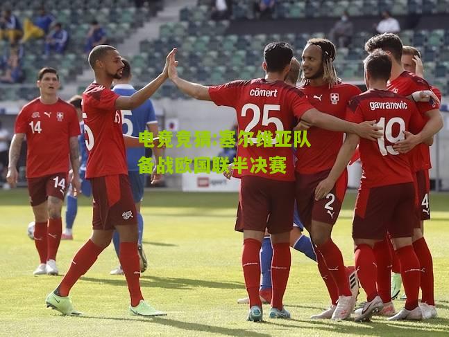 塞尔维亚队备战欧国联半决赛
