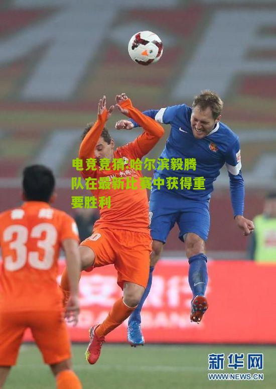 哈尔滨毅腾队在最新比赛中获得重要胜利